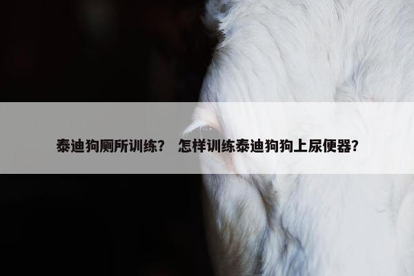泰迪狗厕所训练？ 怎样训练泰迪狗狗上尿便器？