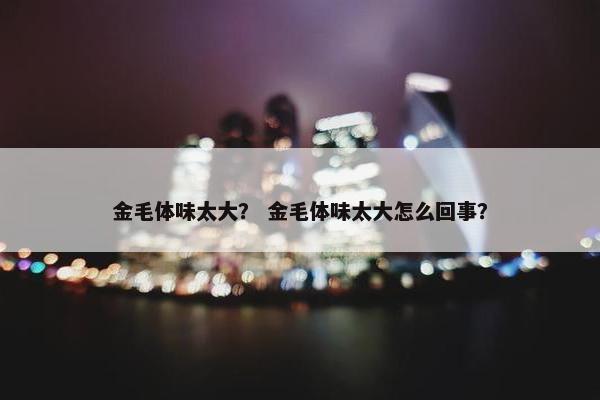 金毛体味太大？ 金毛体味太大怎么回事？
