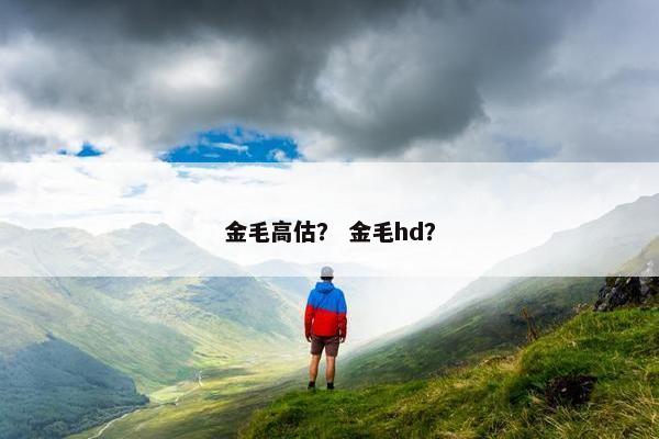 金毛高估？ 金毛hd？