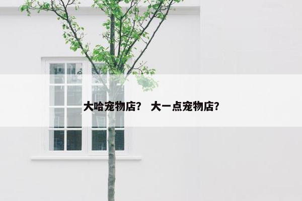 大哈宠物店？ 大一点宠物店？