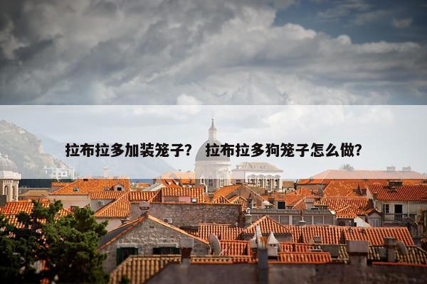 拉布拉多加装笼子？ 拉布拉多狗笼子怎么做？