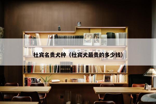 杜宾名贵犬种（杜宾犬最贵的多少钱）