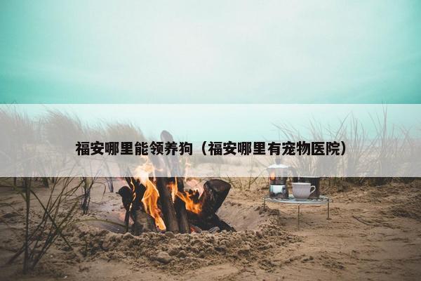 福安哪里能领养狗（福安哪里有宠物医院）
