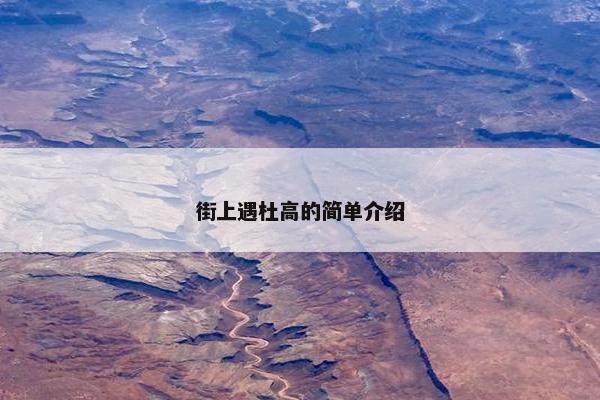 街上遇杜高的简单介绍