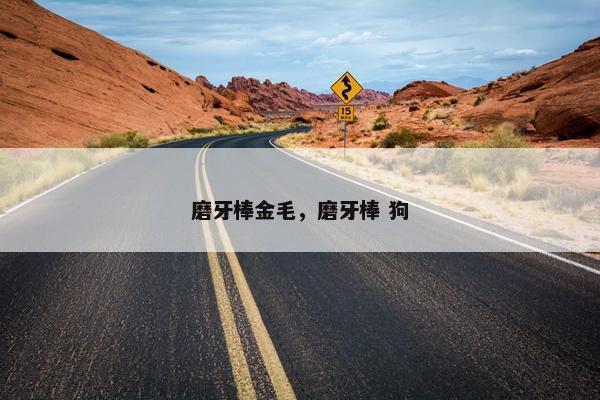 磨牙棒金毛，磨牙棒 狗