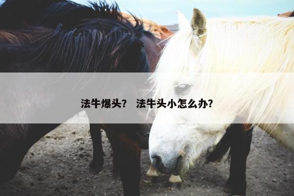 法牛爆头？ 法牛头小怎么办？