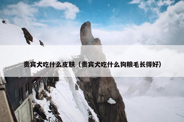 贵宾犬吃什么皮肤（贵宾犬吃什么狗粮毛长得好）