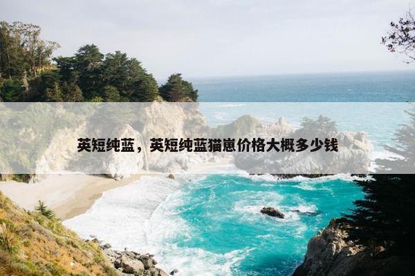 英短纯蓝，英短纯蓝猫崽价格大概多少钱