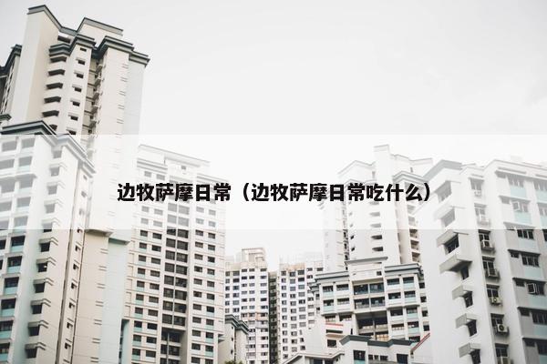 边牧萨摩日常（边牧萨摩日常吃什么）