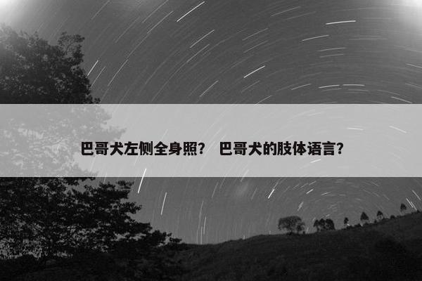 巴哥犬左侧全身照？ 巴哥犬的肢体语言？
