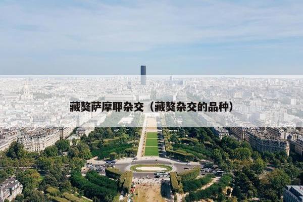 藏獒萨摩耶杂交（藏獒杂交的品种）