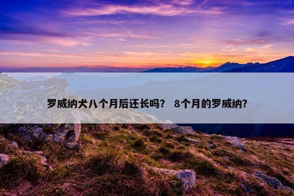 罗威纳犬八个月后还长吗？ 8个月的罗威纳？
