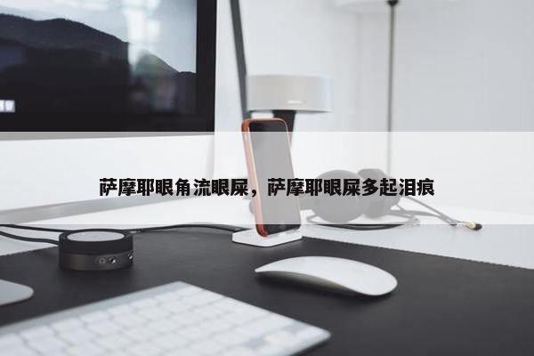 萨摩耶眼角流眼屎，萨摩耶眼屎多起泪痕