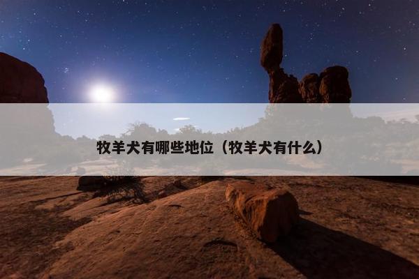 牧羊犬有哪些地位（牧羊犬有什么）