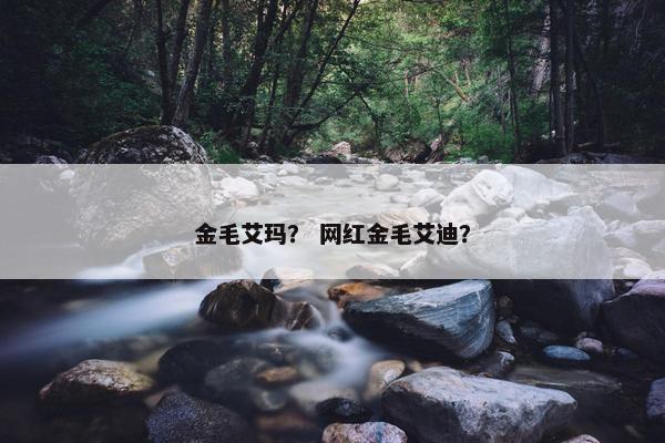 金毛艾玛？ 网红金毛艾迪？
