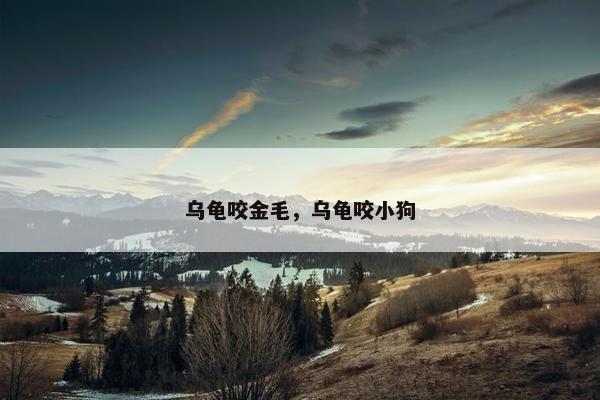 乌龟咬金毛，乌龟咬小狗