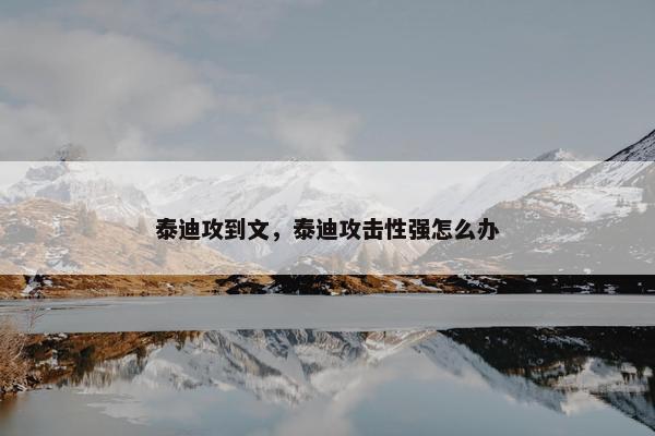 泰迪攻到文，泰迪攻击性强怎么办