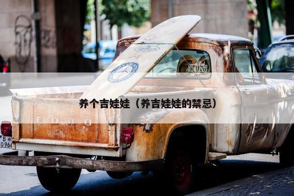 养个吉娃娃（养吉娃娃的禁忌）