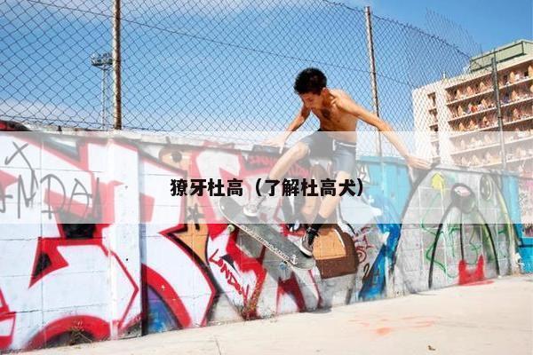 獠牙杜高（了解杜高犬）