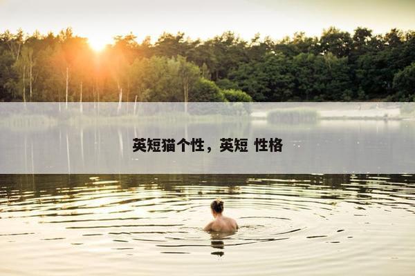 英短猫个性，英短 性格
