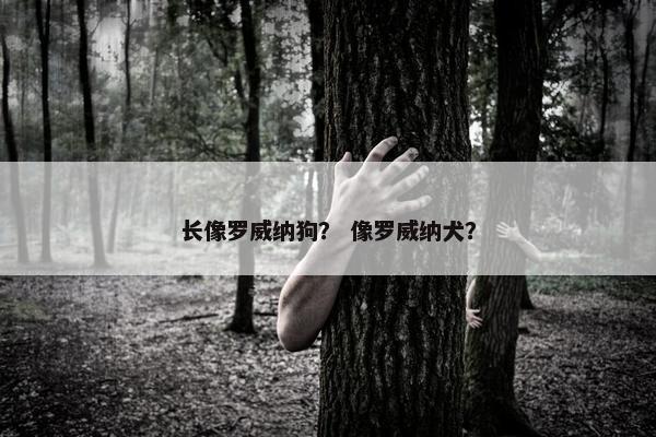 长像罗威纳狗？ 像罗威纳犬？