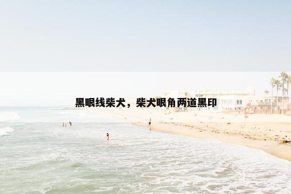 黑眼线柴犬，柴犬眼角两道黑印