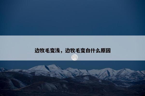 边牧毛变浅，边牧毛变白什么原因