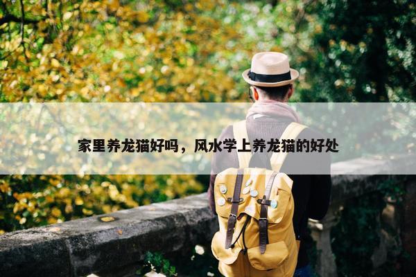 家里养龙猫好吗，风水学上养龙猫的好处