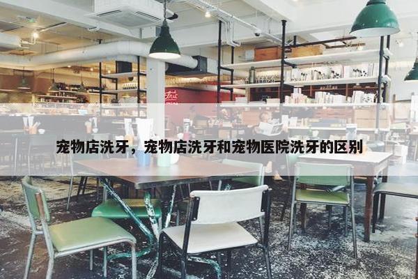宠物店洗牙，宠物店洗牙和宠物医院洗牙的区别