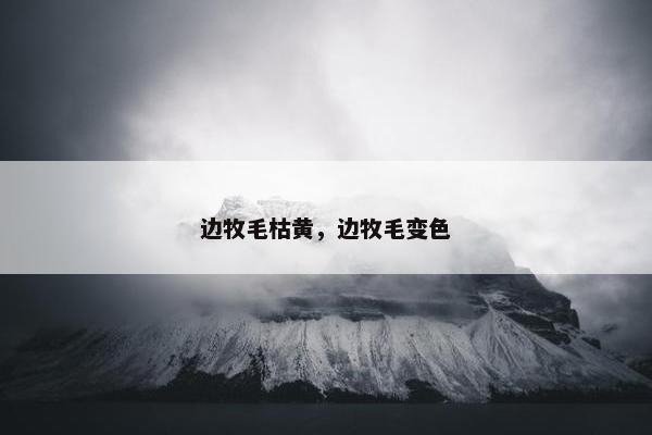 边牧毛枯黄，边牧毛变色
