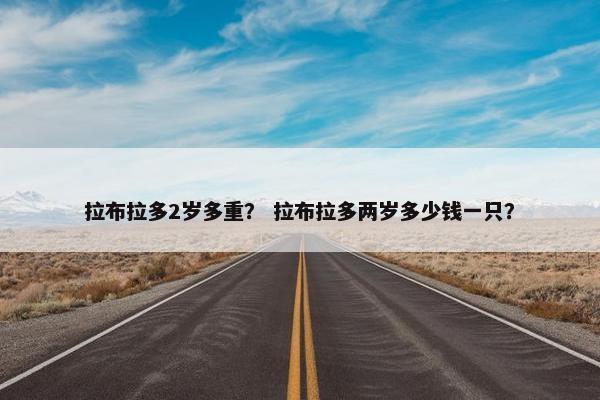拉布拉多2岁多重？ 拉布拉多两岁多少钱一只？