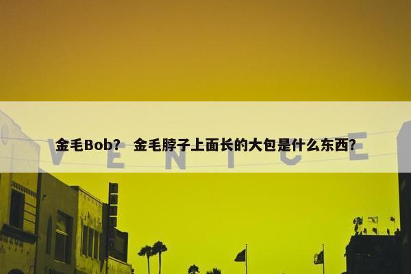 金毛Bob？ 金毛脖子上面长的大包是什么东西？