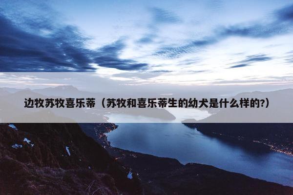 边牧苏牧喜乐蒂（苏牧和喜乐蒂生的幼犬是什么样的?）