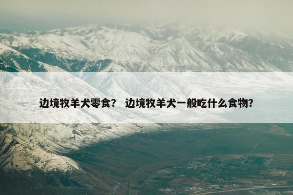 边境牧羊犬零食？ 边境牧羊犬一般吃什么食物？