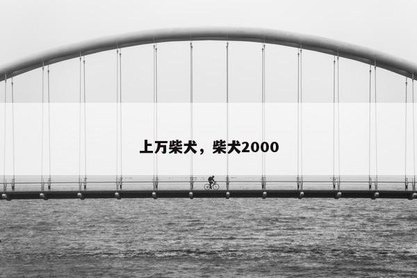 上万柴犬，柴犬2000
