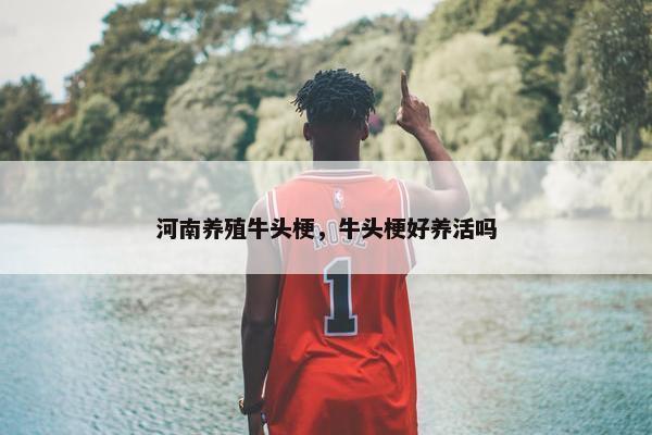 河南养殖牛头梗，牛头梗好养活吗
