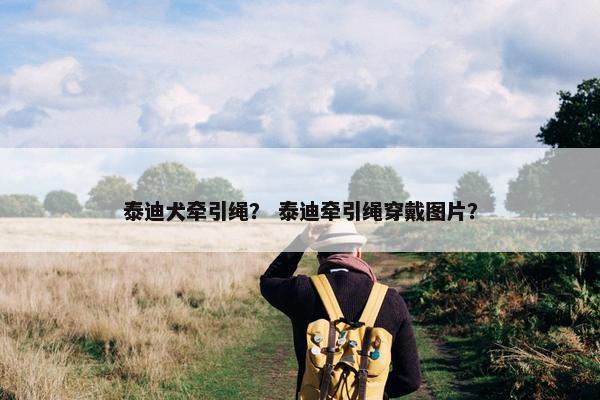 泰迪犬牵引绳？ 泰迪牵引绳穿戴图片？