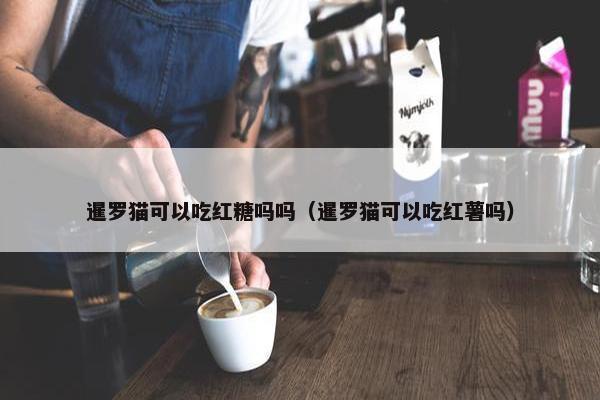 暹罗猫可以吃红糖吗吗（暹罗猫可以吃红薯吗）