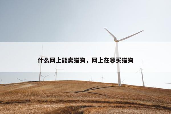 什么网上能卖猫狗，网上在哪买猫狗