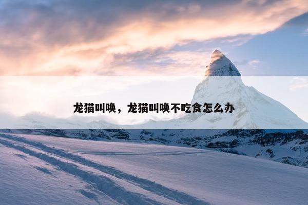 龙猫叫唤，龙猫叫唤不吃食怎么办