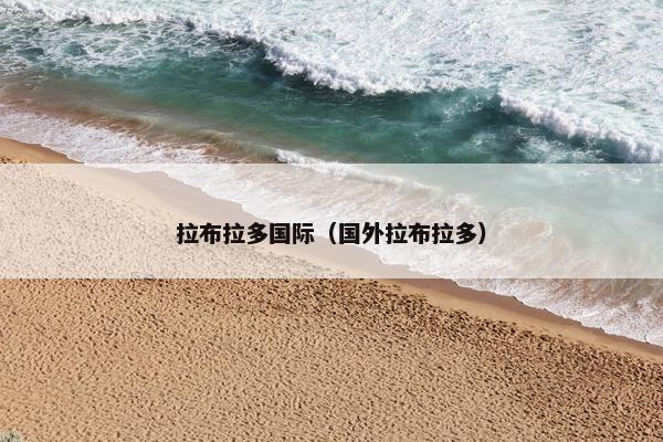 拉布拉多国际（国外拉布拉多）