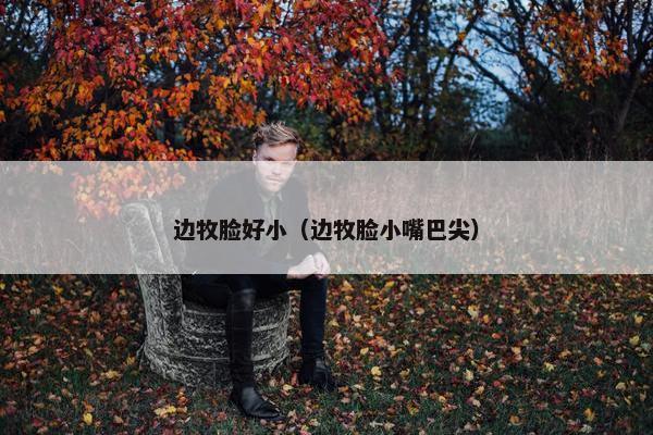 边牧脸好小（边牧脸小嘴巴尖）