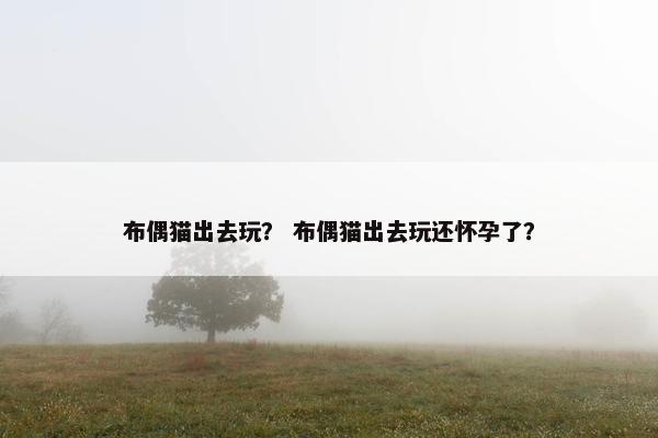 布偶猫出去玩？ 布偶猫出去玩还怀孕了？