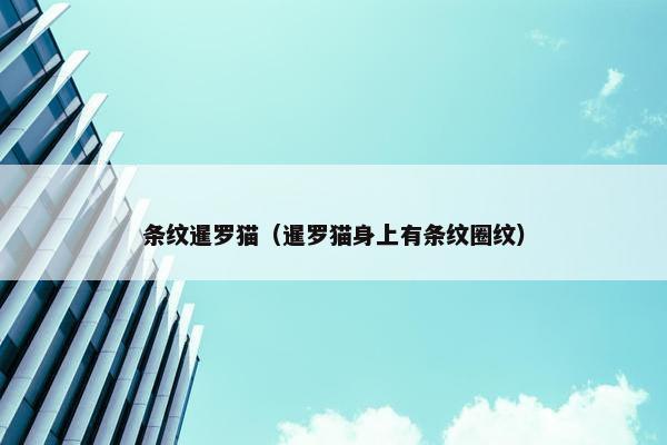 条纹暹罗猫（暹罗猫身上有条纹圈纹）