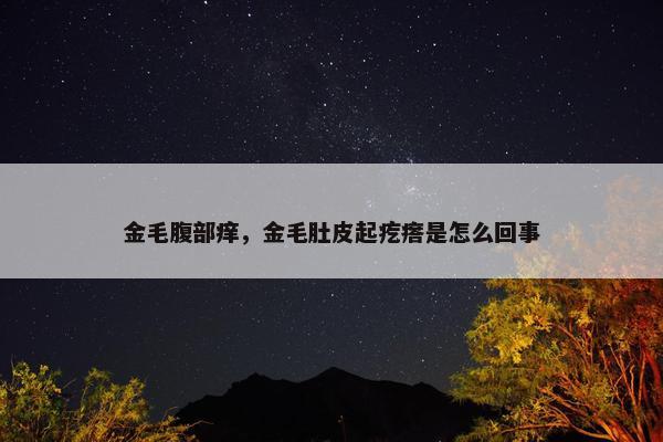 金毛腹部痒，金毛肚皮起疙瘩是怎么回事