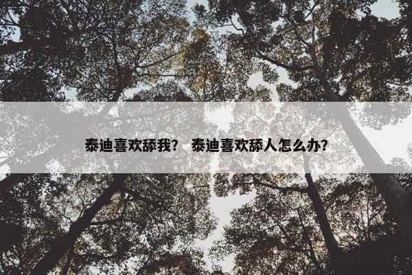 泰迪喜欢舔我？ 泰迪喜欢舔人怎么办？