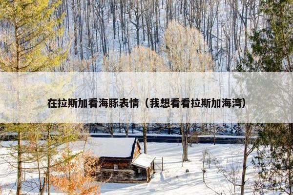 在拉斯加看海豚表情（我想看看拉斯加海湾）