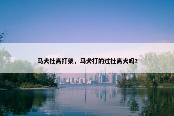 马犬杜高打架，马犬打的过杜高犬吗?