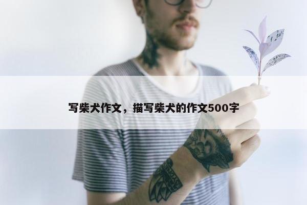 写柴犬作文，描写柴犬的作文500字