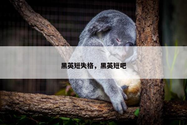 黑英短失格，黑英短吧
